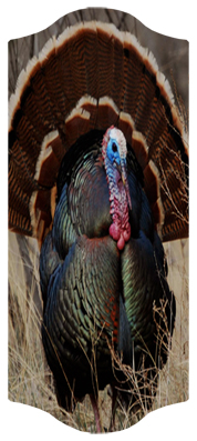 Gone Hunting (Turkey)